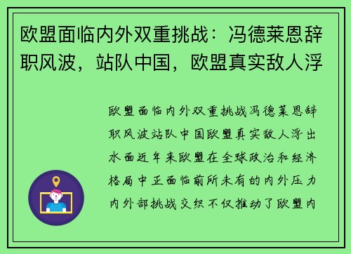 欧盟面临内外双重挑战：冯德莱恩辞职风波，站队中国，欧盟真实敌人浮出水面